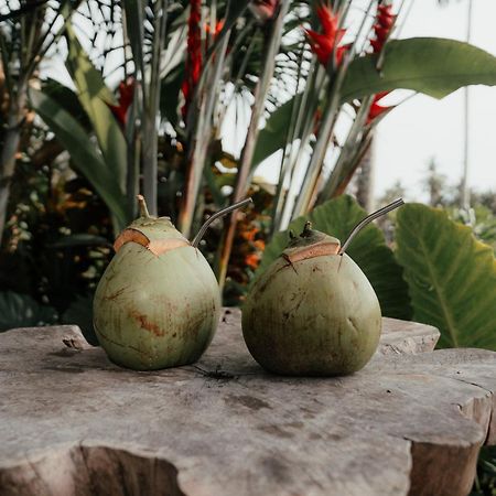 Desa Cabins Balian Ngoại thất bức ảnh