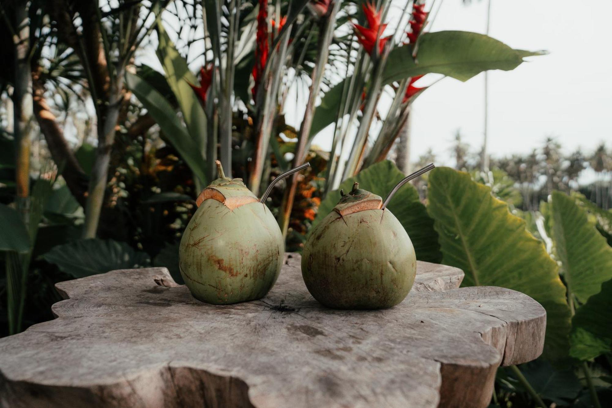 Desa Cabins Balian Ngoại thất bức ảnh
