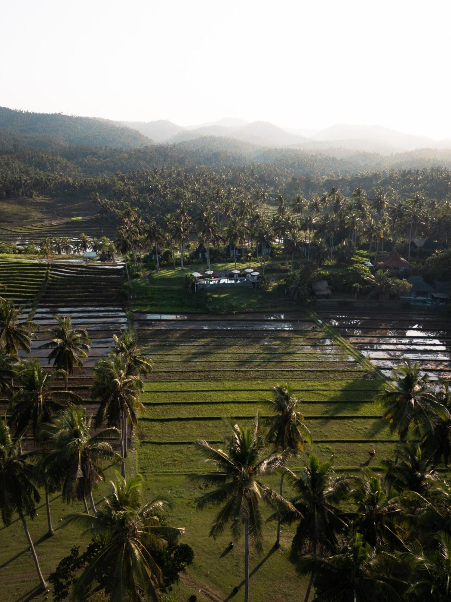 Desa Cabins Balian Ngoại thất bức ảnh